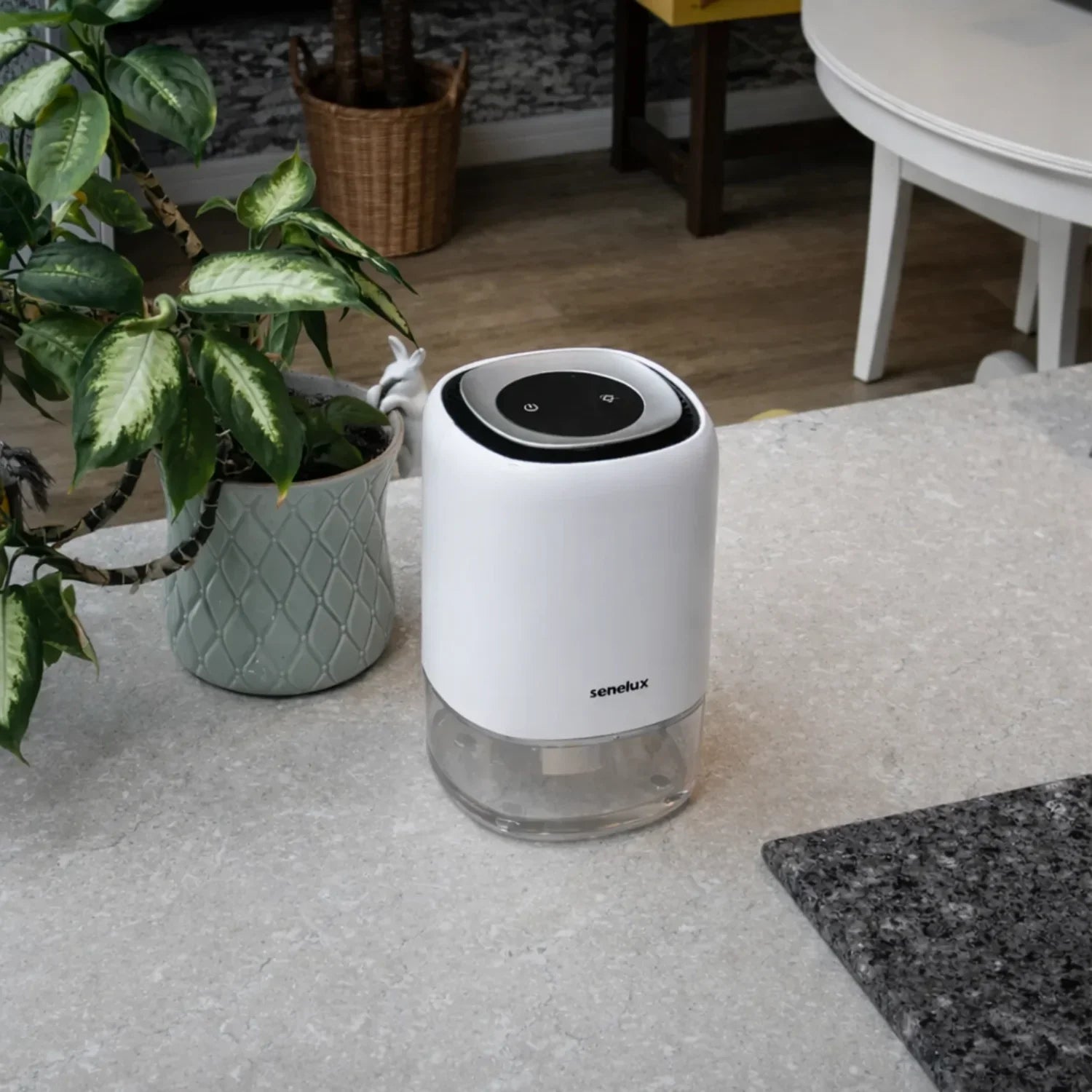 1100ml Quiet Dehumidifier